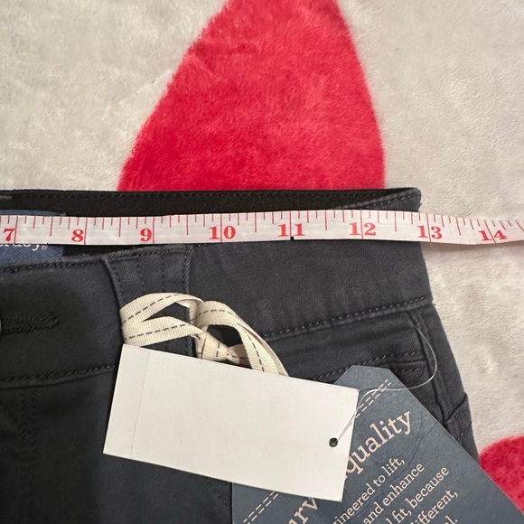 NWT Ab"solution® Colored Ankle Skimmer Pants in Shadow - Picture 5 of 11